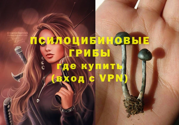 ПСИЛОЦИБИНОВЫЕ ГРИБЫ Алзамай